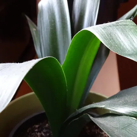 Kriftelerhof * Kriftel