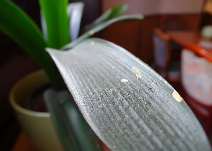 Kriftelerhof * Kriftel