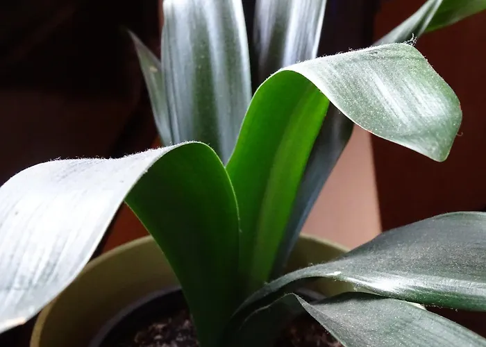 Kriftelerhof * Kriftel